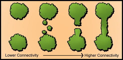 Two green circles represent low habitat connectivity; adding patches between the circles or connecting them with a corridor represents higher connectivity